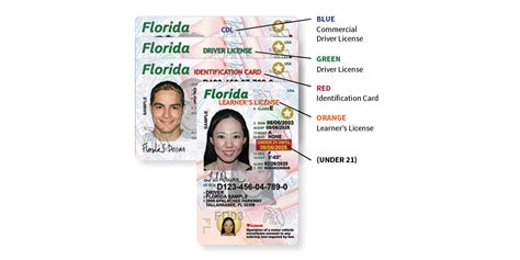 how hard is the learners permit test for florida|cheapest permit test florida.